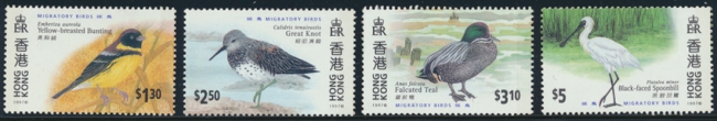 hong-kong-birds